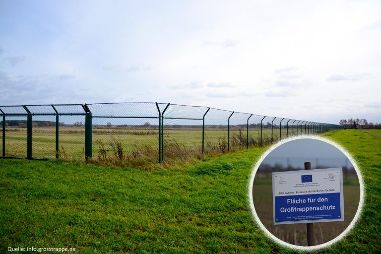 Die Großtrappe FV Großtrappenschutz e.V.