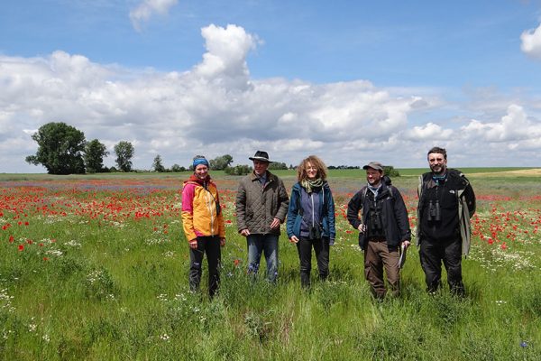 Botanische Begutachtung im ELER-Projektgebiet Zerbster Land