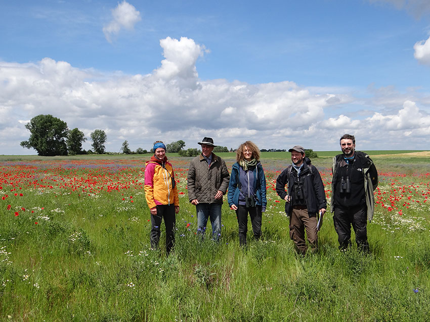 Botanische Begutachtung im ELER-Projektgebiet Zerbster Land