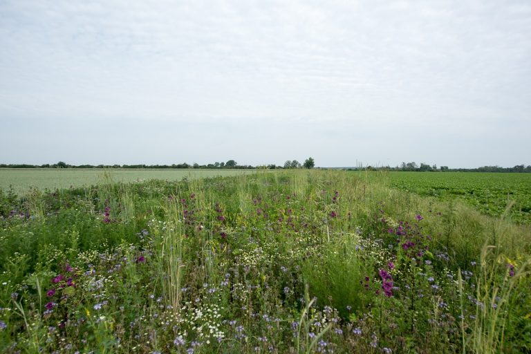 ELER-Projektgebiet “Zerbster Land”